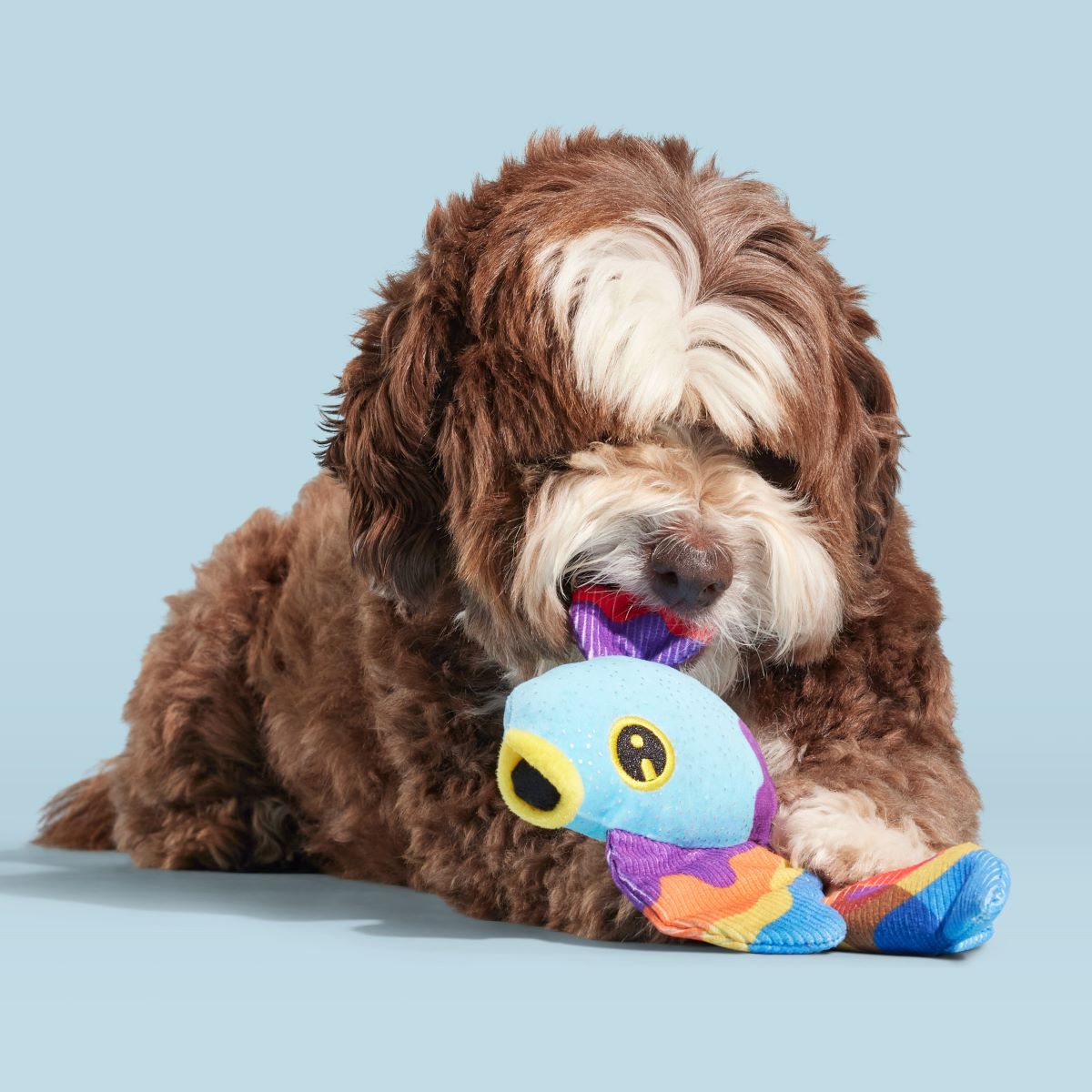 Beta Boop Plush Tug Dog Toy - Image 6