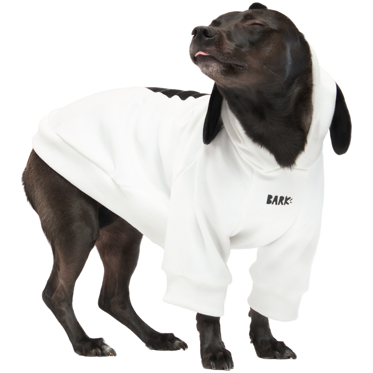 Snoopy Dog Hoodie - Image 4