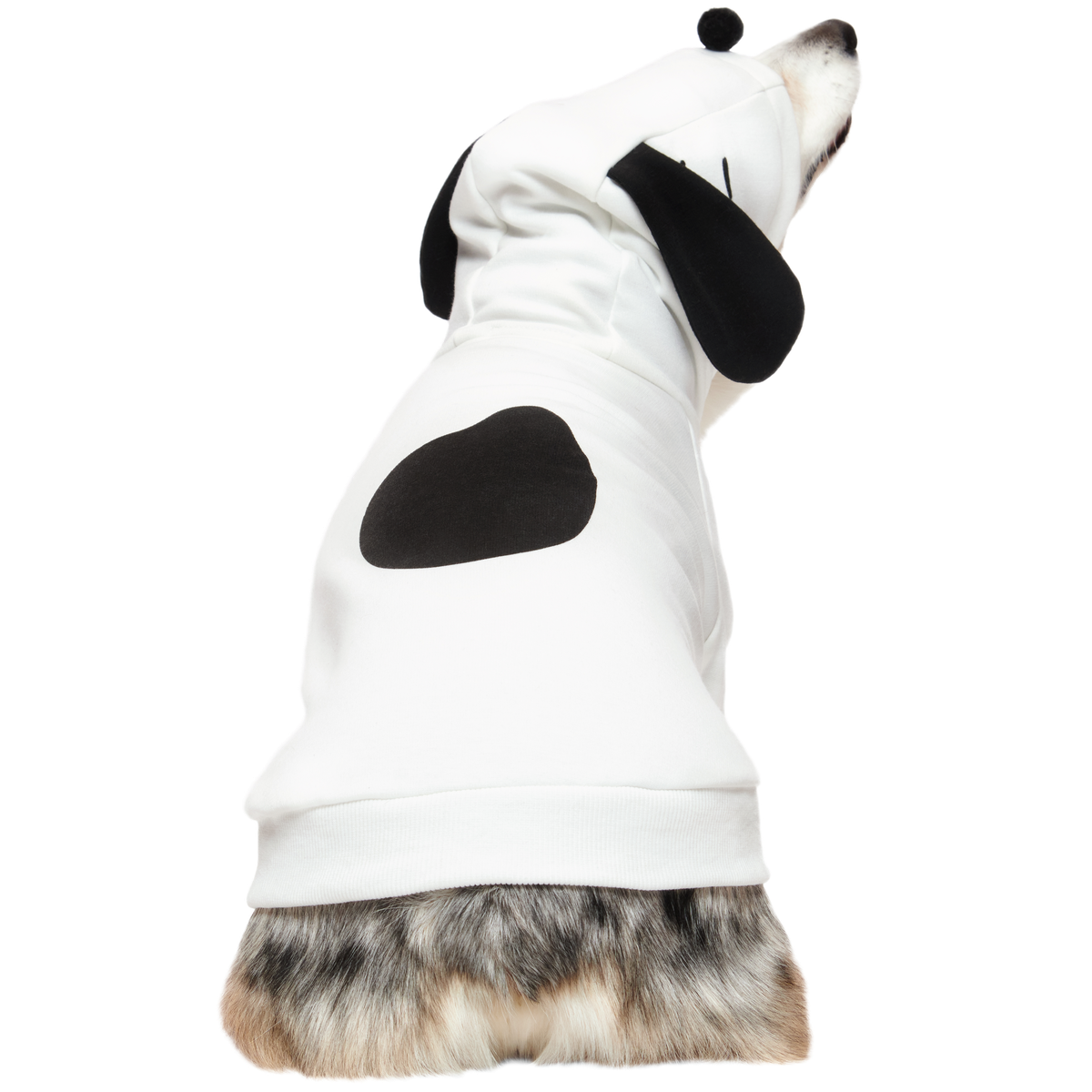 Snoopy Dog Hoodie