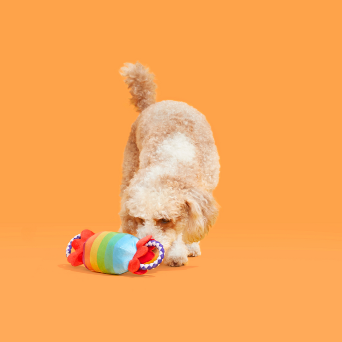 SqueakFarts Candy Plush Tug Dog Toy - Image 2