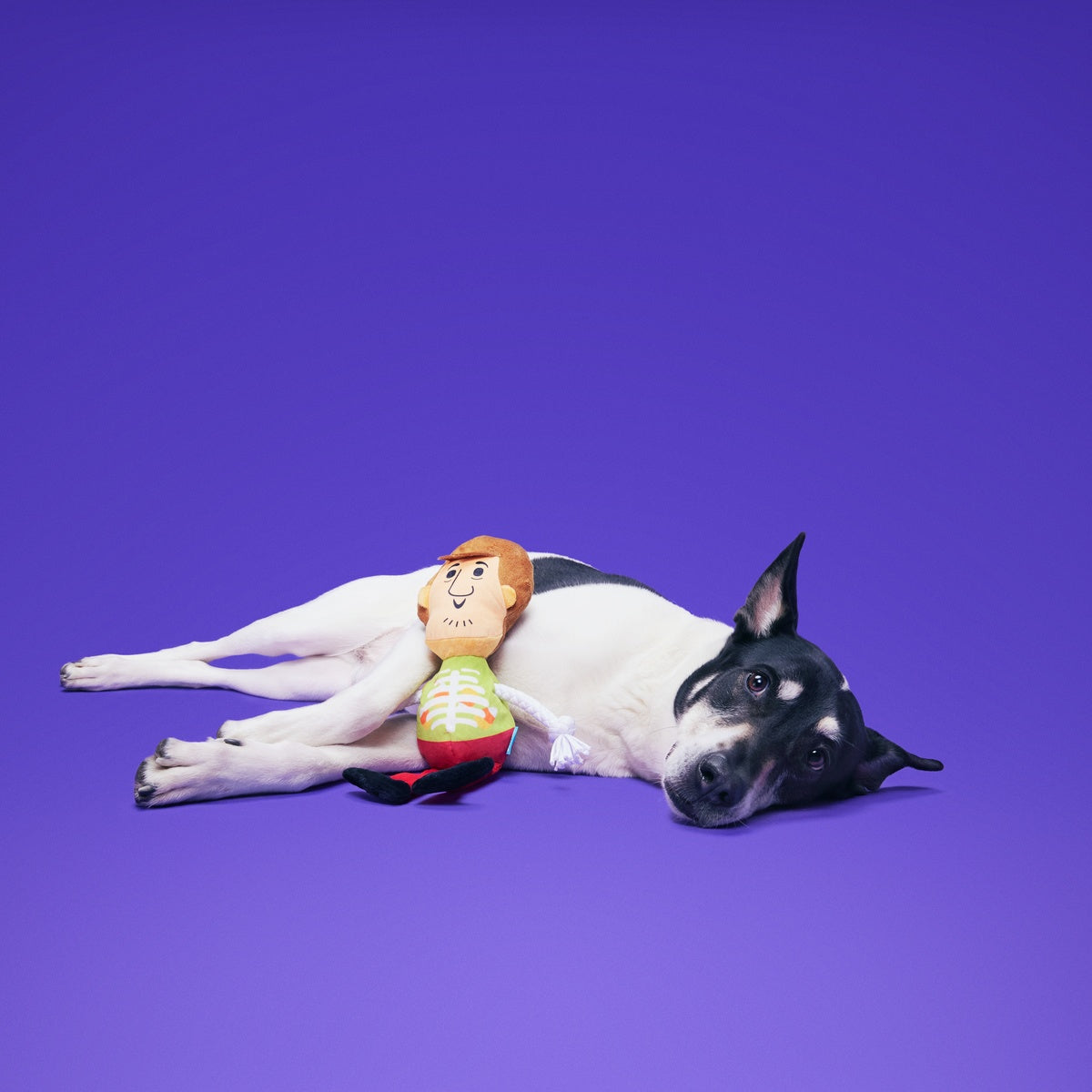 Shaggy™ Skelly Plush Extra-Large + Tug Dog Toy - Image 3
