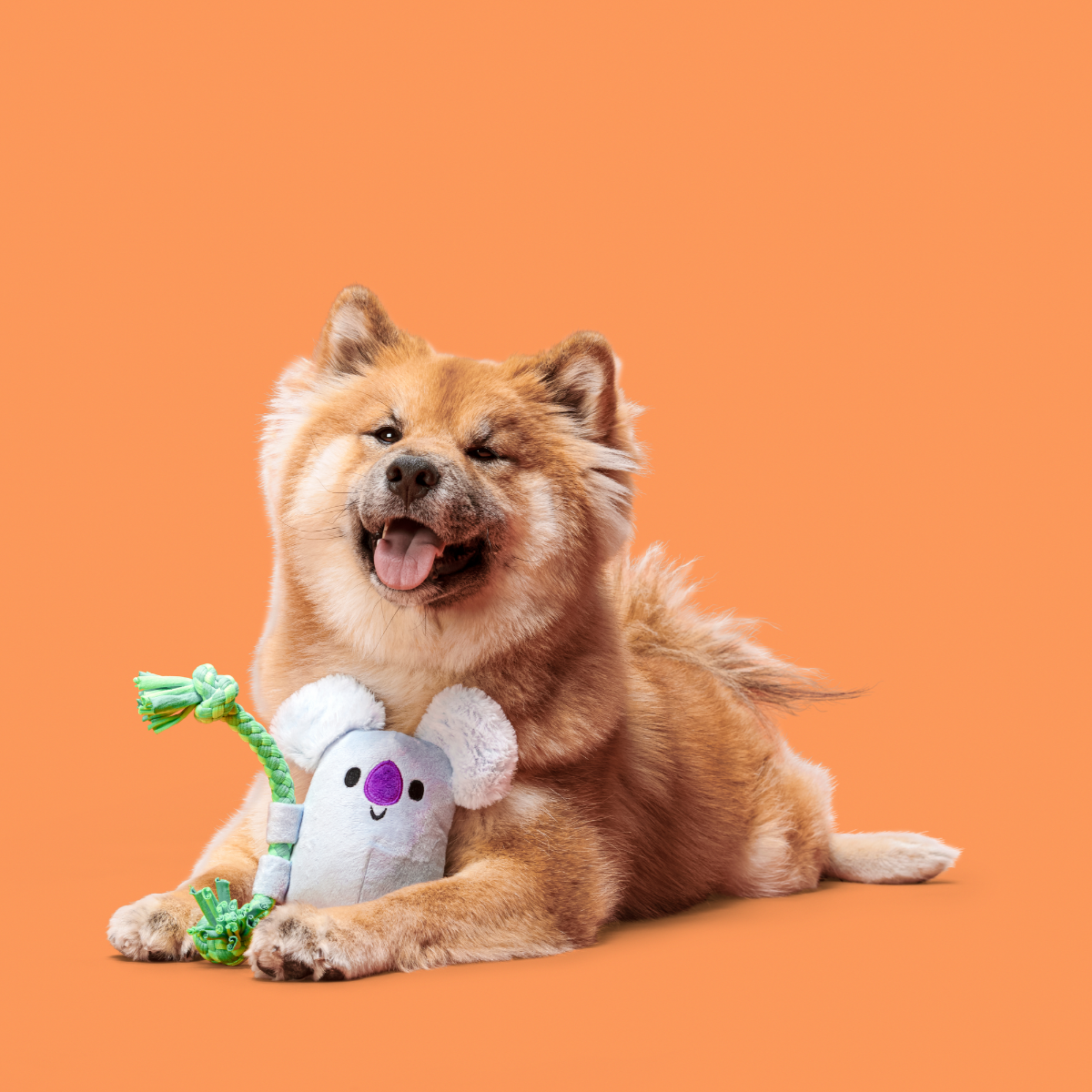 Koa Koala Plush Tug Dog Toy - Image 4