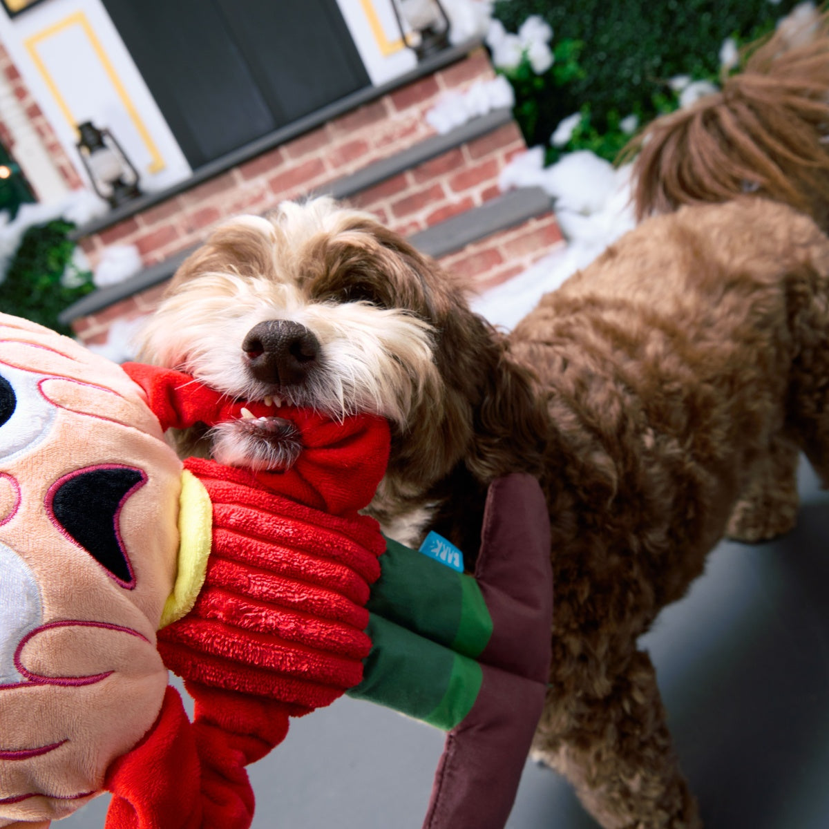 Screamin' Kevin Plush Extra-Large + Tug Dog Toy - Image 4