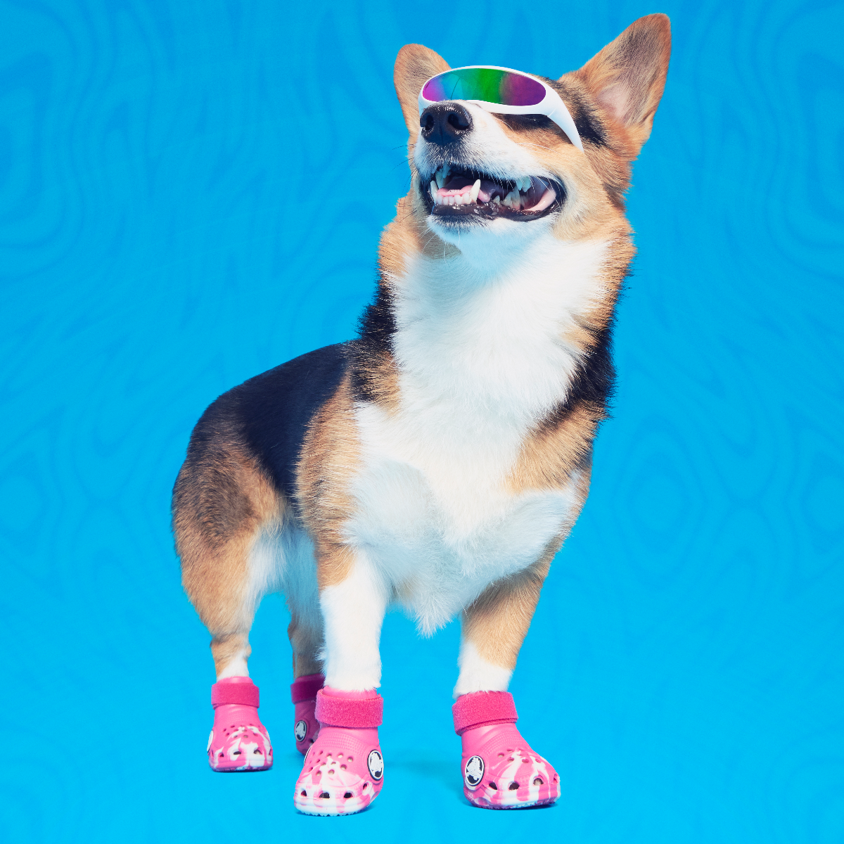Crocs™ Shoes For Dogs - Image 21