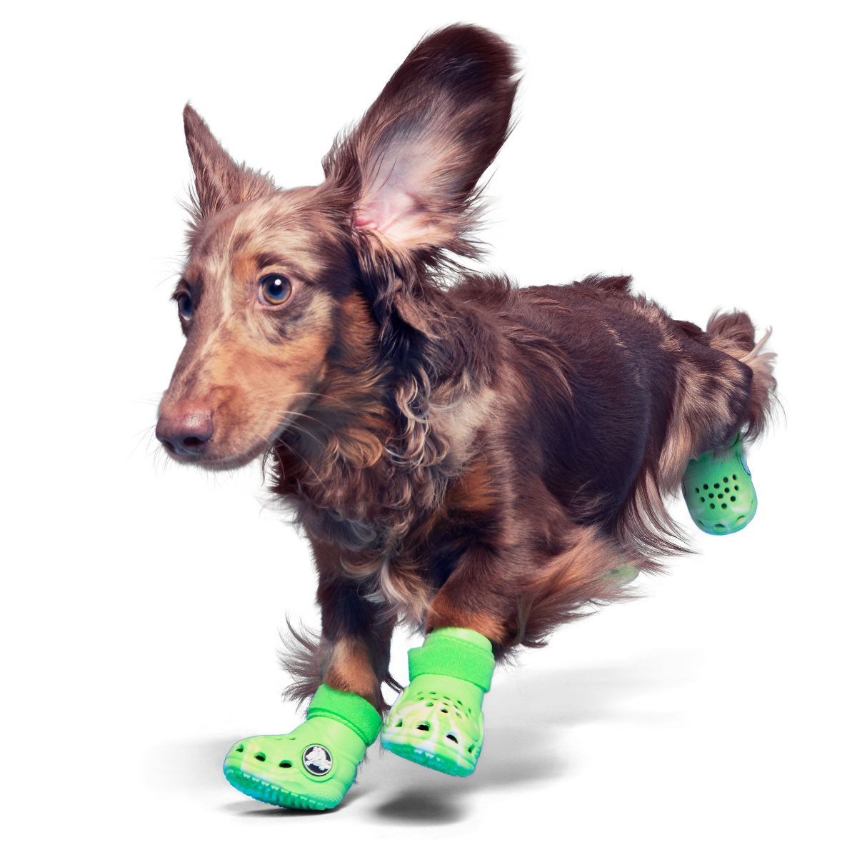 Crocs™ Shoes For Dogs