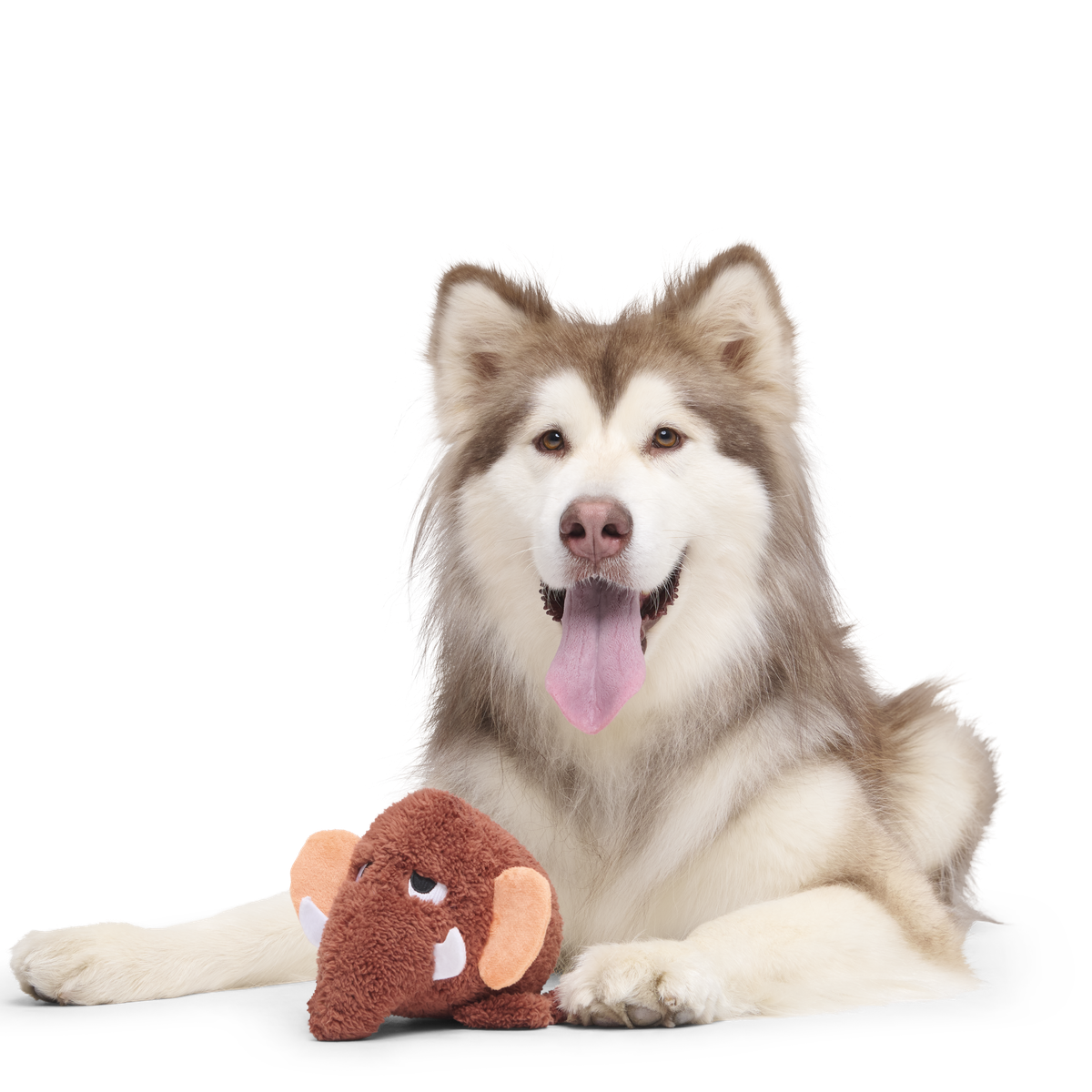 Mama Jama Mammoth Plush 2-in-1 Rip and Reveal Dog Toy - Image 7