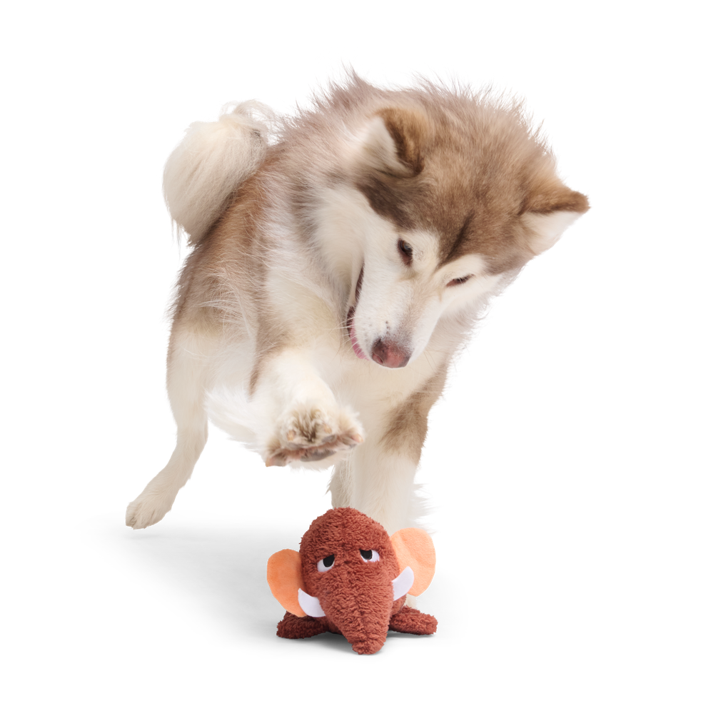 Mama Jama Mammoth Plush 2-in-1 Rip and Reveal Dog Toy - Image 5