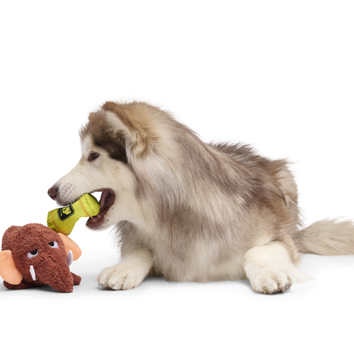 Mama Jama Mammoth Plush 2-in-1 Rip and Reveal Dog Toy - Image 4