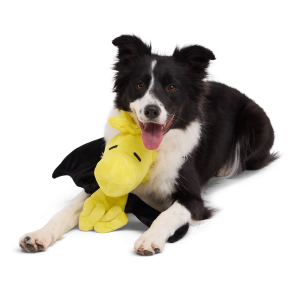 Woodstockula Plush Extra-Large + Tug Dog Toy