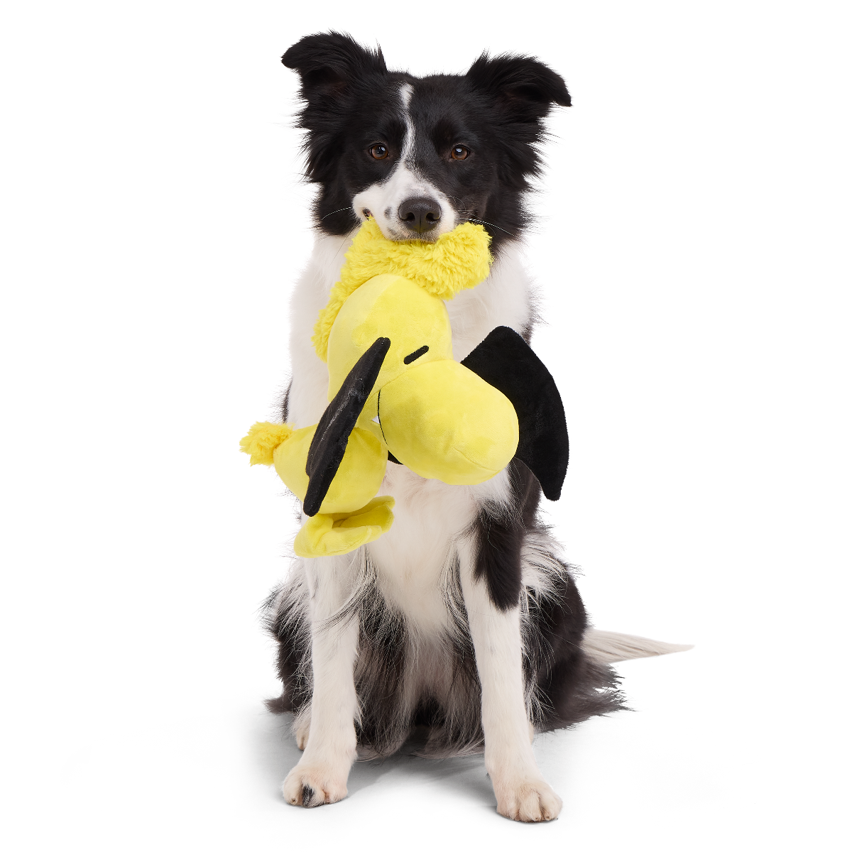 Woodstockula Plush Extra-Large + Tug Dog Toy - Image 3
