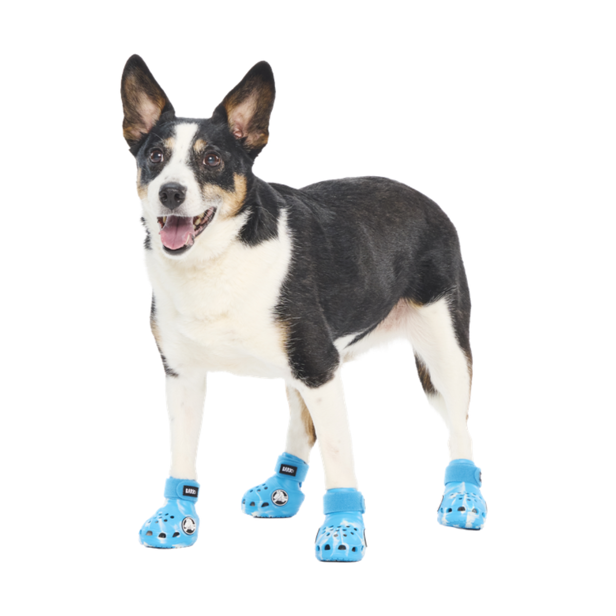 Crocs™ Shoes For Dogs - Image 4