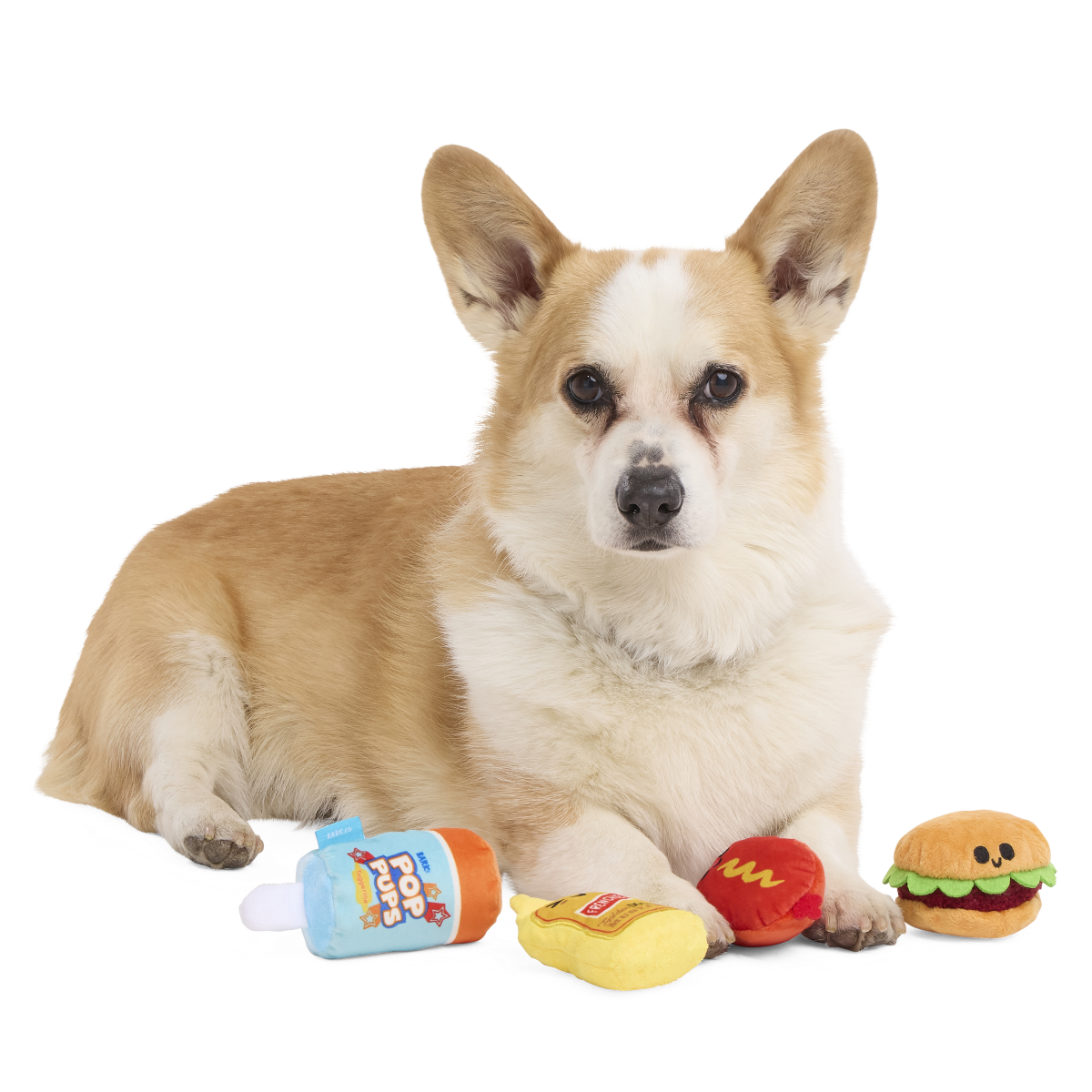 The Bark-B-Q Bunch Plush Multi-Part Dog Toy - Image 2