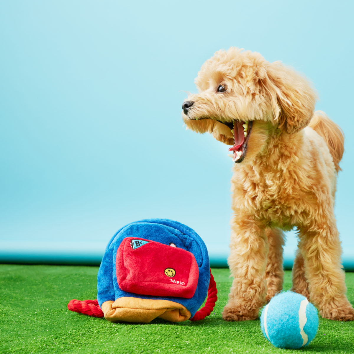 Janspup Plush Multi-Part + Tug + Fetch Dog Toy - Image 2