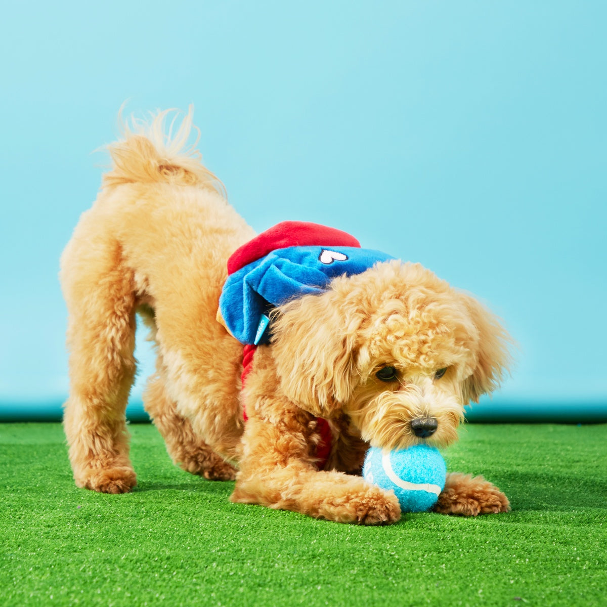 Janspup Plush Multi-Part + Tug + Fetch Dog Toy - Image 3