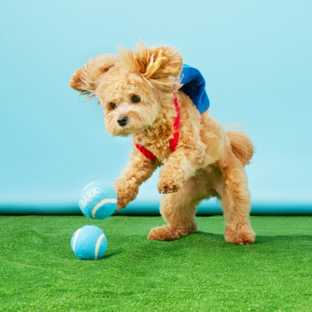 Janspup Plush Multi-Part + Tug + Fetch Dog Toy - Image 4