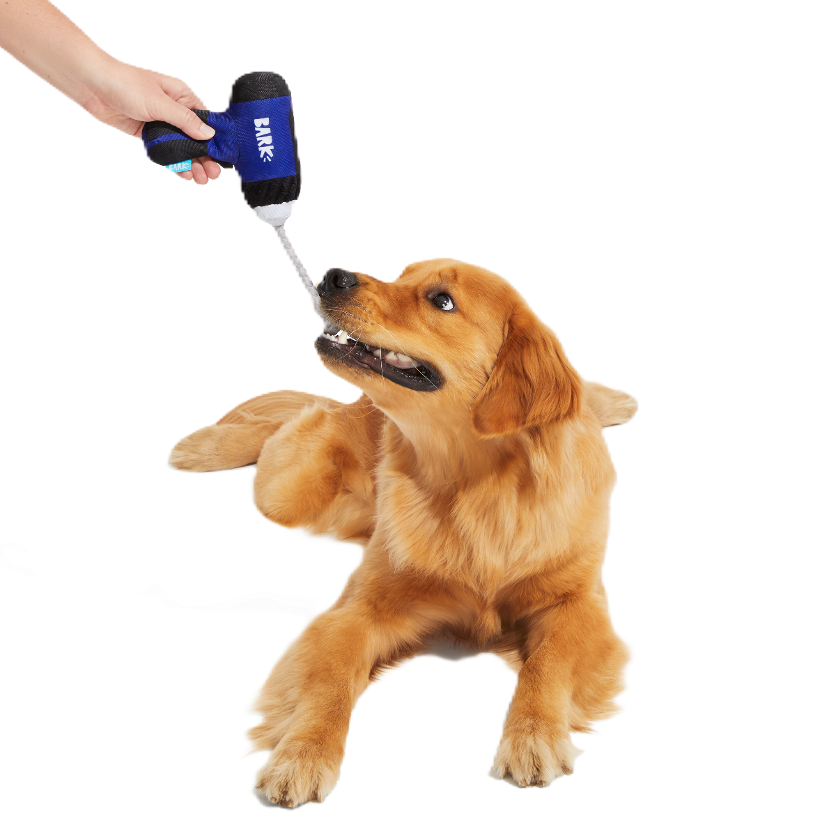 Tuggin' Impact Drooler Plush Tug Dog Toy - Image 3