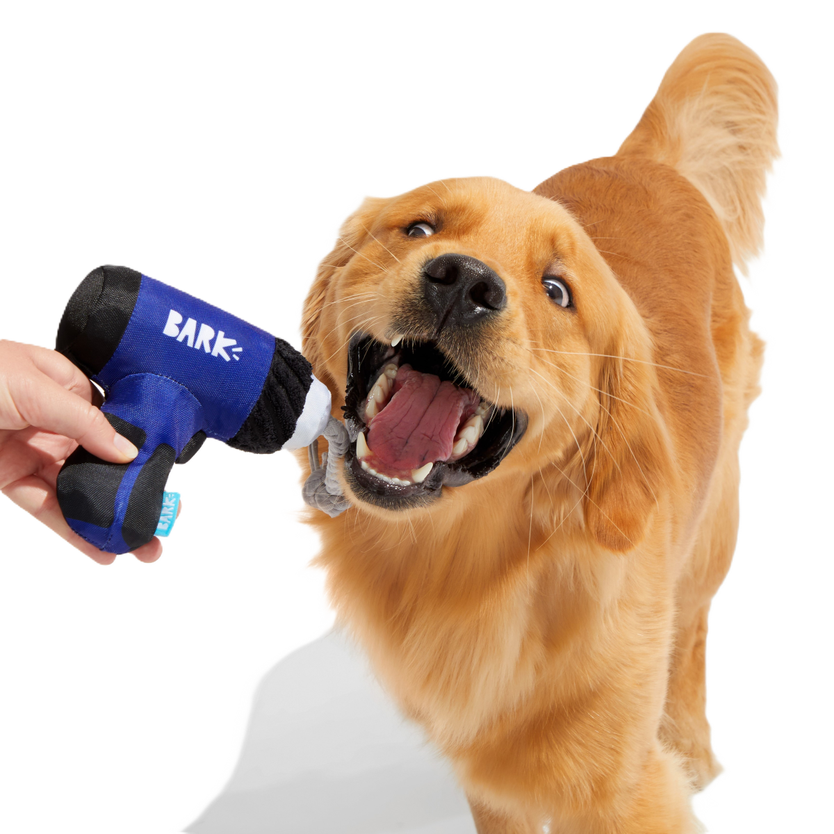 Tuggin' Impact Drooler Plush Tug Dog Toy - Image 2