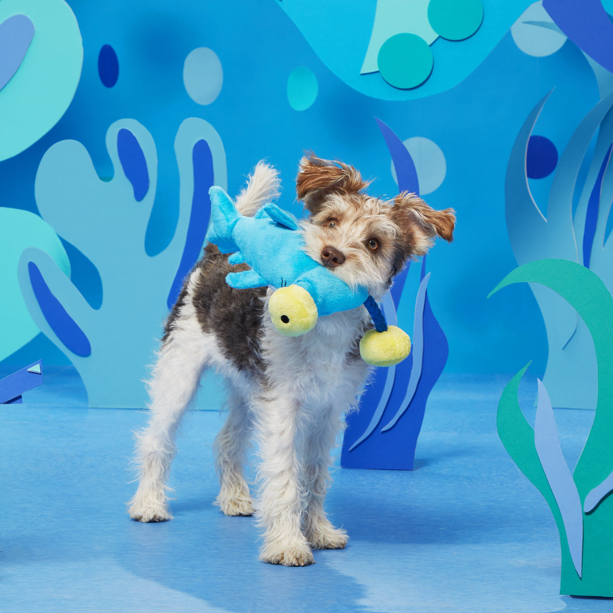 Hammerin' Hank the Shark Plush Tug Dog Toy - Image 4