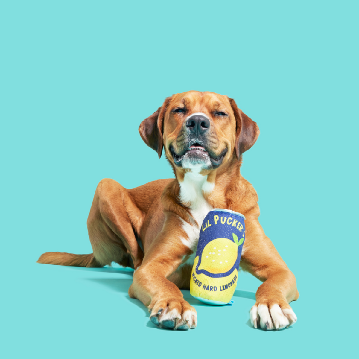 Lil' Pucker's Plush Dog Toy - Image 3