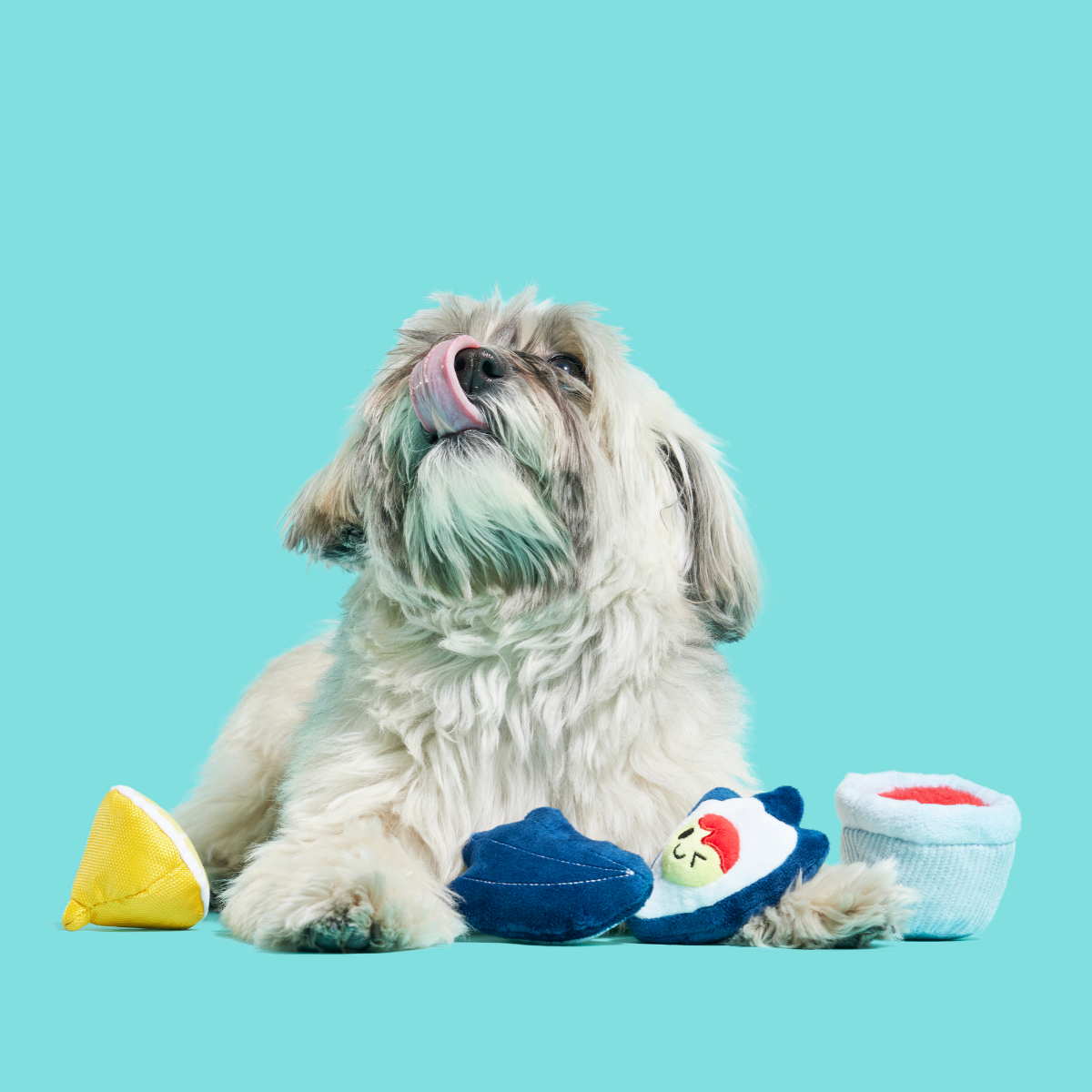 Shuck N' Chuck Toysters Plush Multi-Part Dog Toy - Image 4