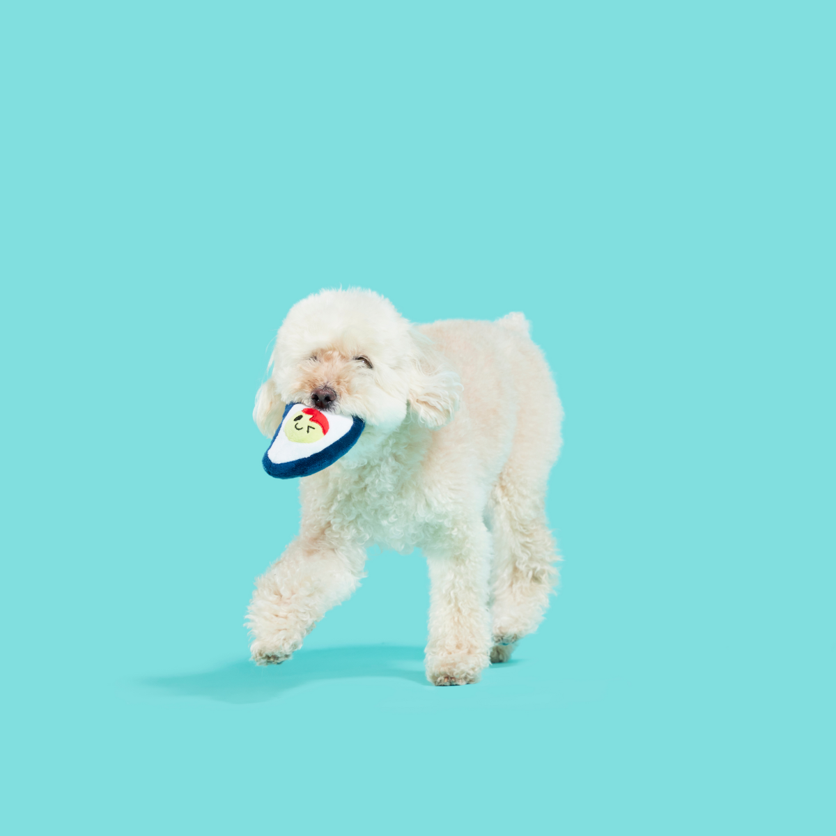 Shuck N' Chuck Toysters Plush Multi-Part Dog Toy - Image 2