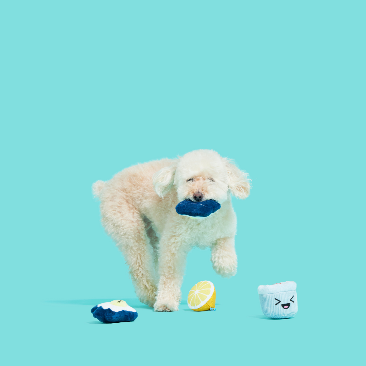 Shuck N' Chuck Toysters Plush Multi-Part Dog Toy - Image 3