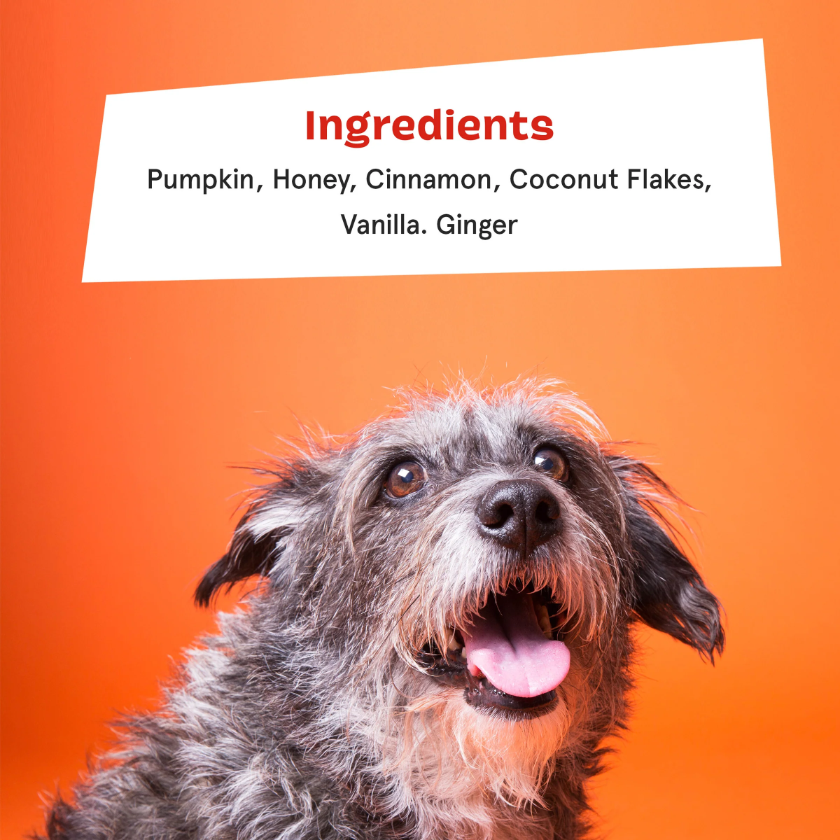 Pumpkin Spice. And Everything Nice Vegetarian Dog Food Meal Topper. 6.1 oz - Image 7