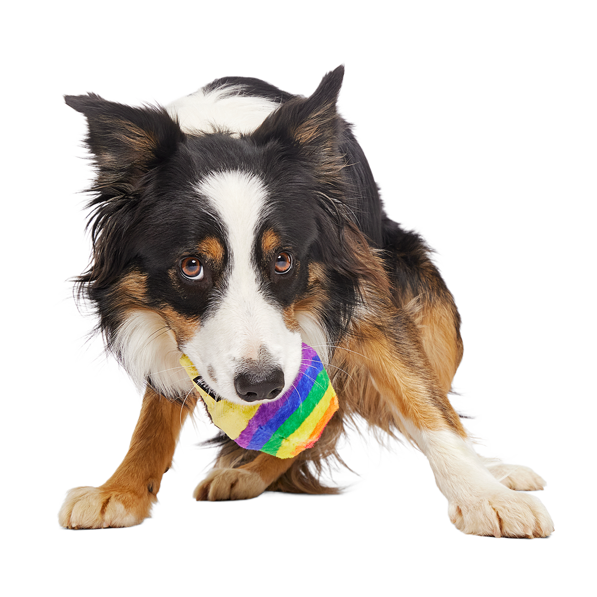 Rainbow-wow Sherbert Super Chewer Durable 2-in-1 + Enrichment Dog Toy - Image 3