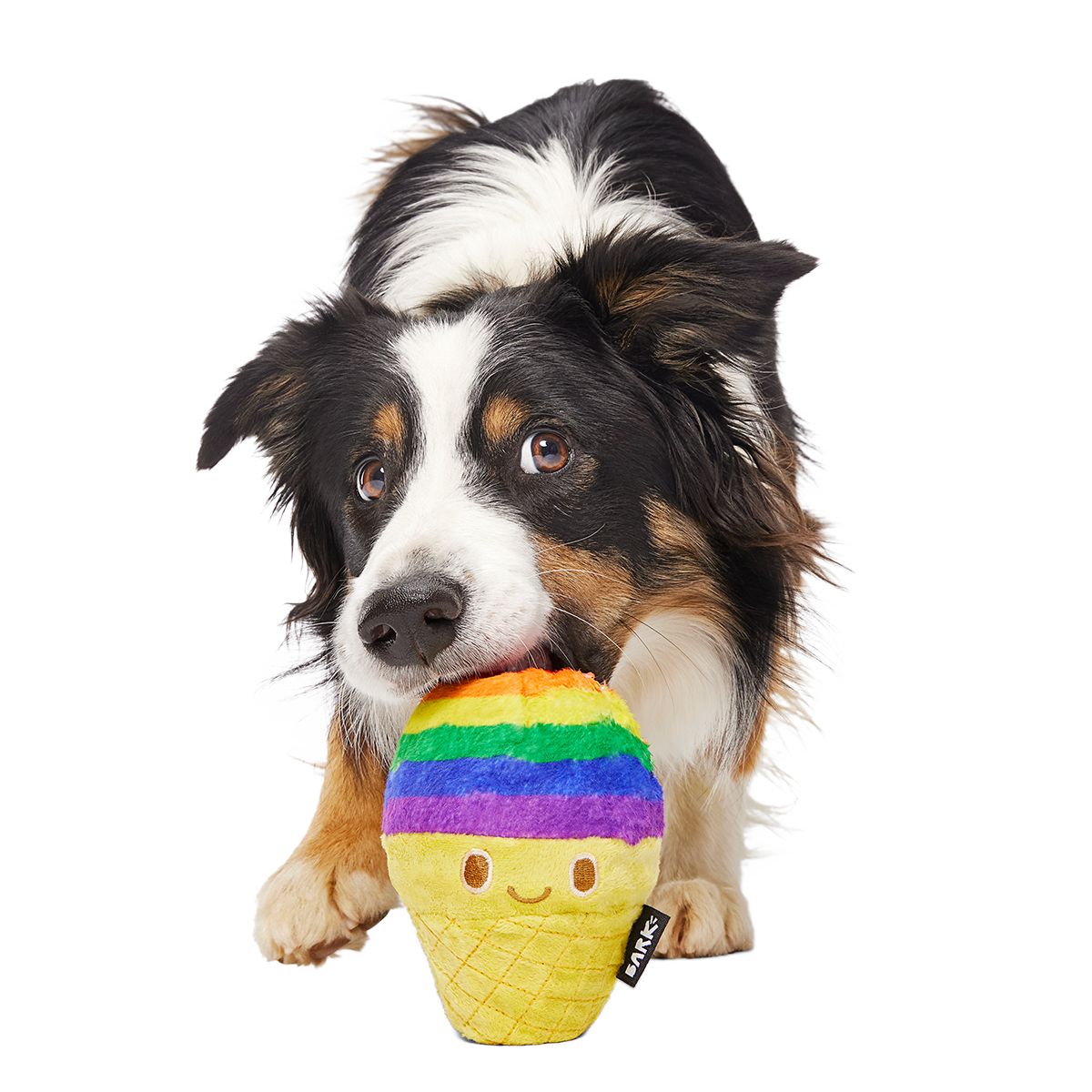 Rainbow-wow Sherbert Super Chewer Durable 2-in-1 + Enrichment Dog Toy - Image 2