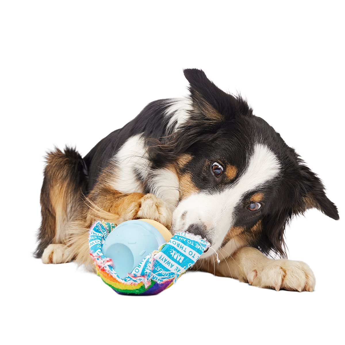 Rainbow-wow Sherbert Super Chewer Durable 2-in-1 + Enrichment Dog Toy - Image 4