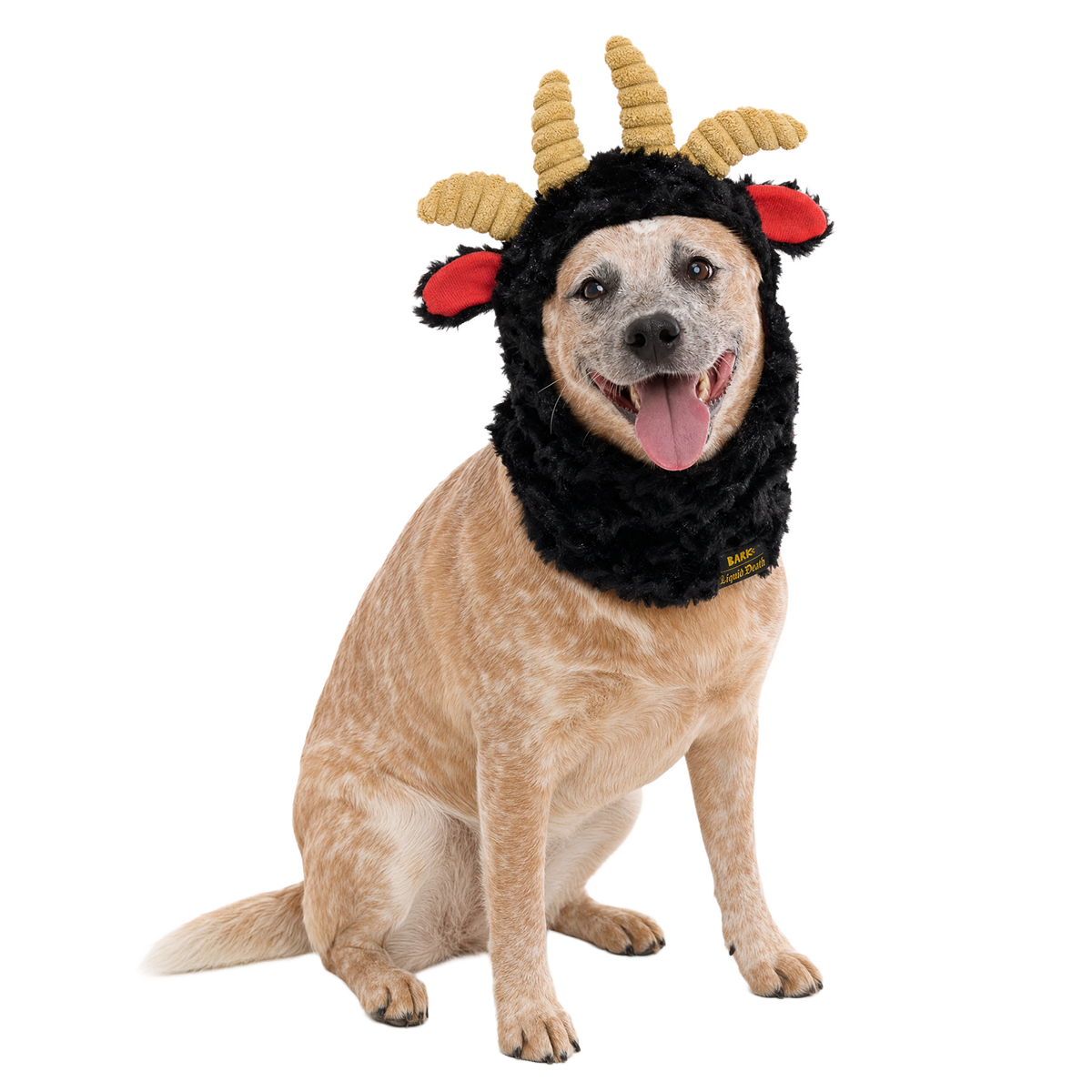 Ram Chop Snood Dog Hood - Image 3
