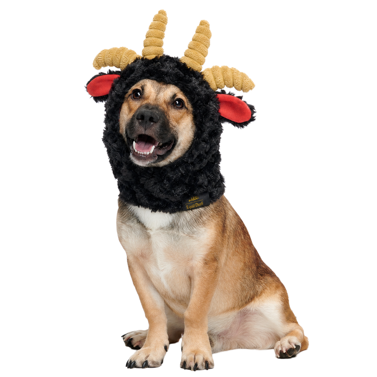 Ram Chop Snood Dog Hood - Image 5