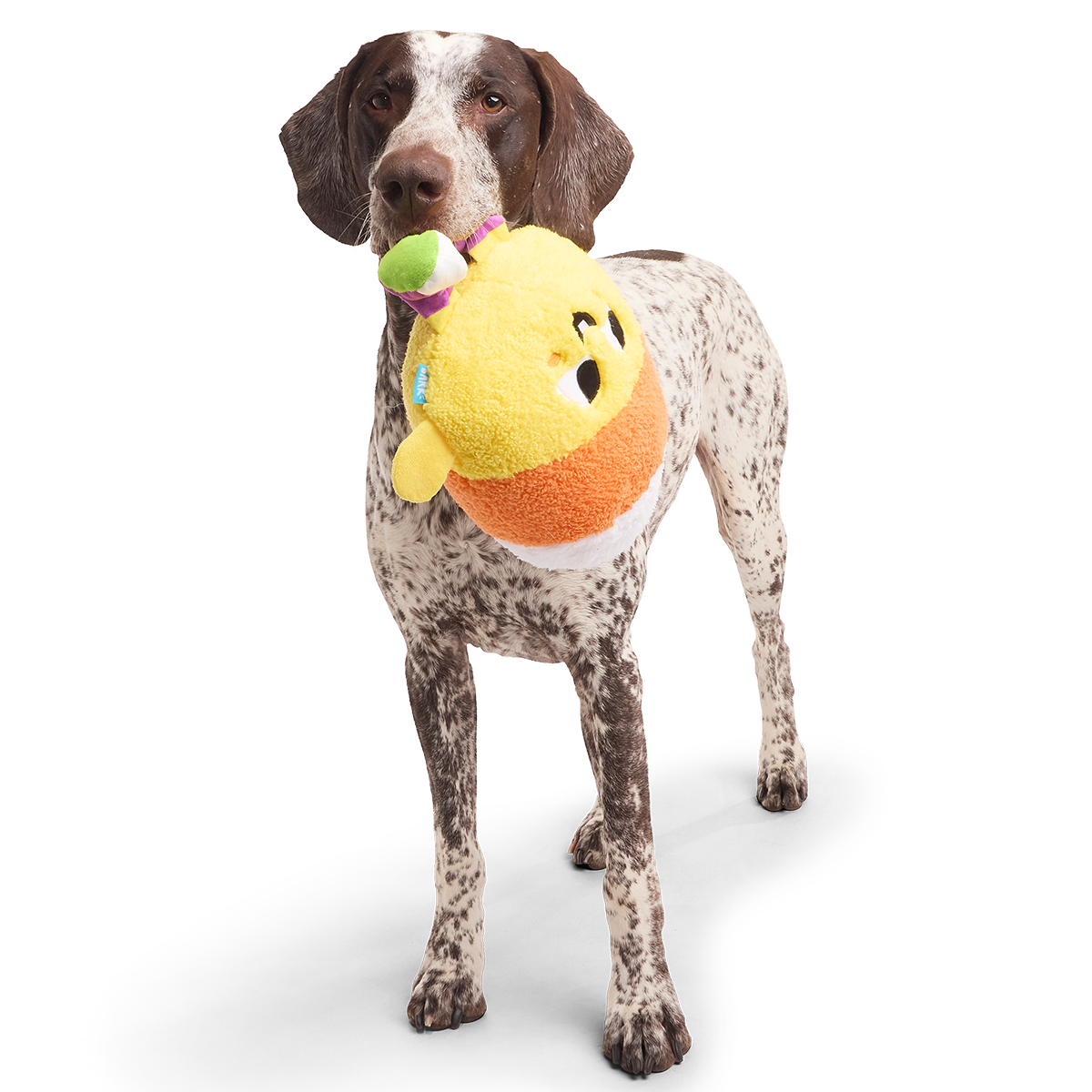 Randy Corn Plush Extra-Large + Tug Dog Toy - Image 4