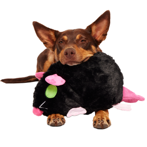 Rat-A-Chewy Plush Extra-Large + 2-in-1 + Tug Dog Toy
