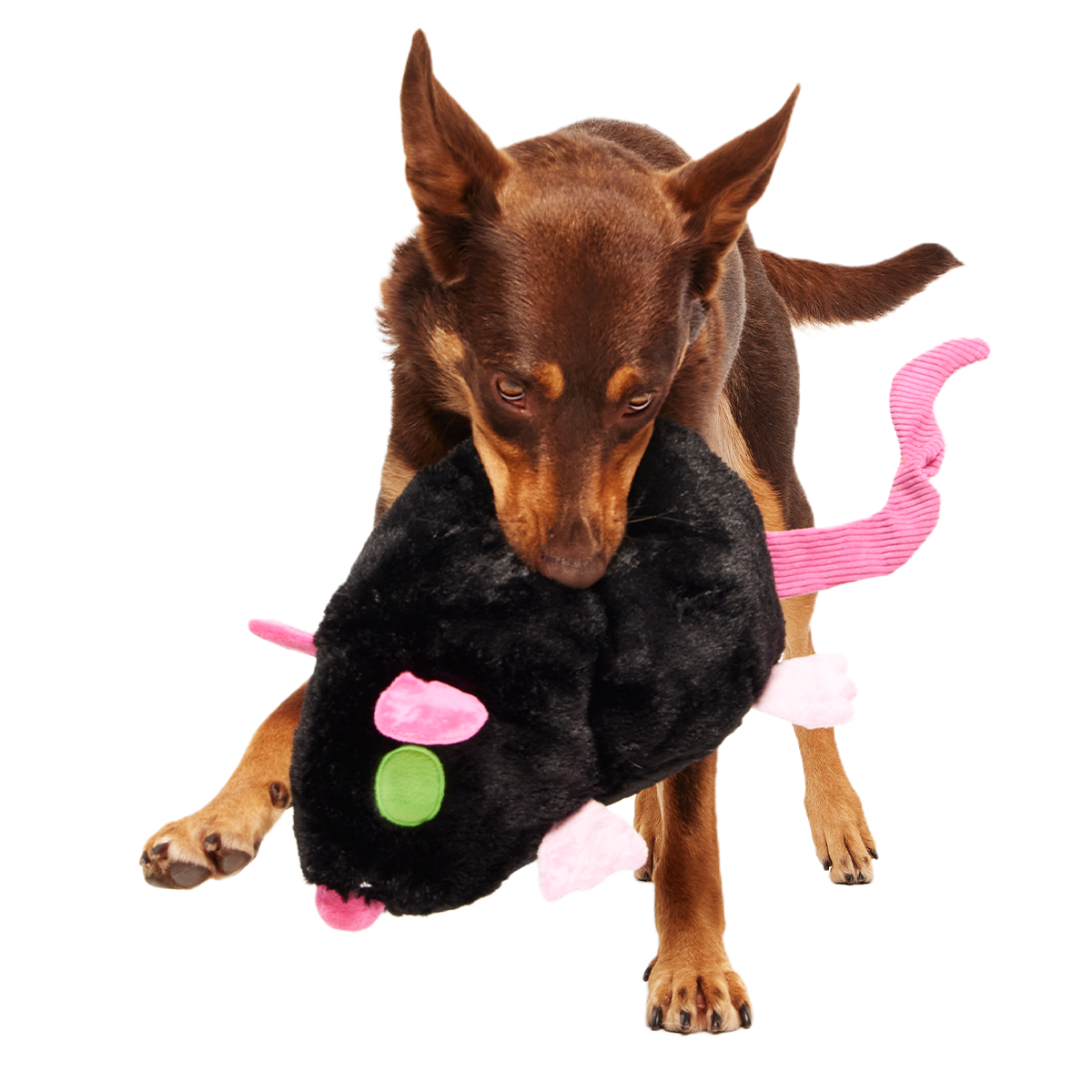 Rat-A-Chewy Plush Extra-Large + 2-in-1 + Tug Dog Toy - Image 3