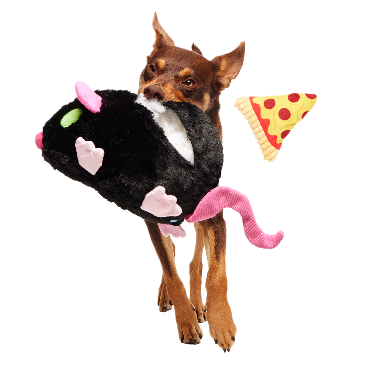 Rat-A-Chewy Plush Extra-Large + 2-in-1 + Tug Dog Toy - Image 4