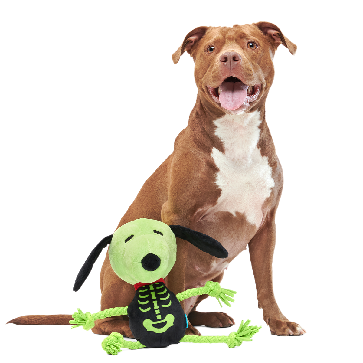 Rattling Bones Beagle Plush Extra-Large + Tug Dog Toy - Image 2