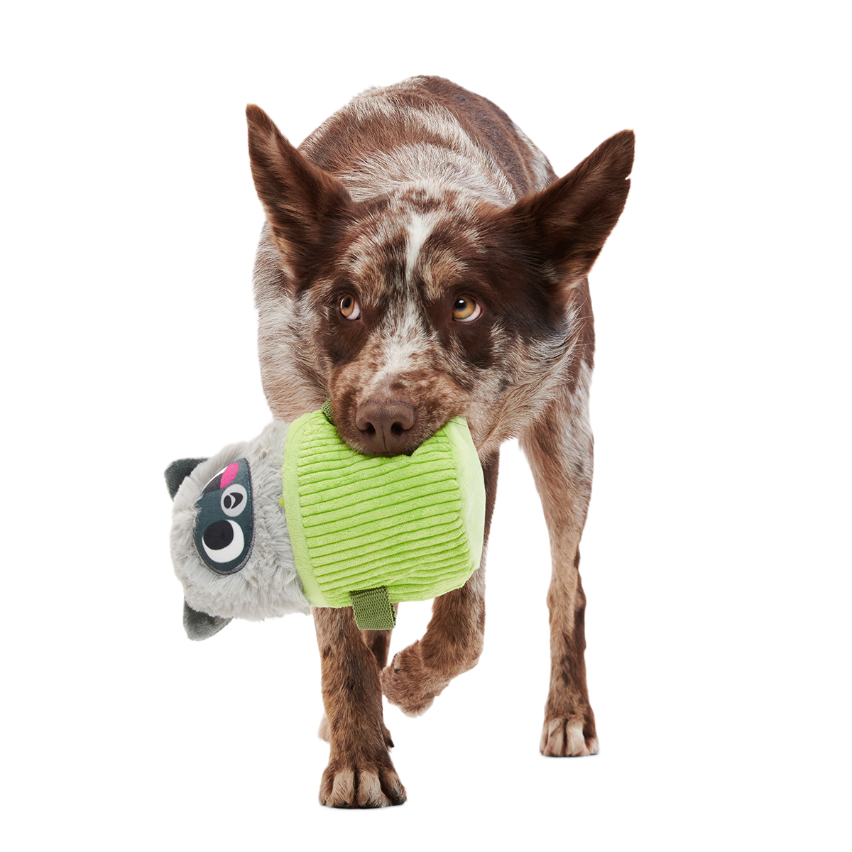 Rickie Racoon the Trash Tycoon Plush Enrichment + Multi-Part Dog Toy - Image 7