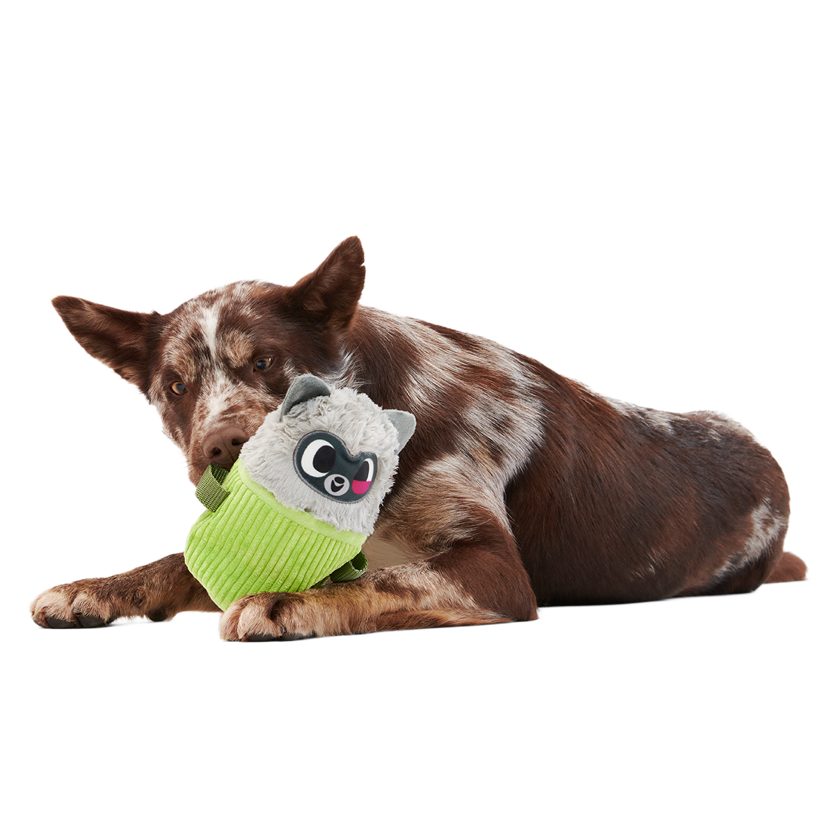 Rickie Racoon the Trash Tycoon Plush Enrichment + Multi-Part Dog Toy - Image 5