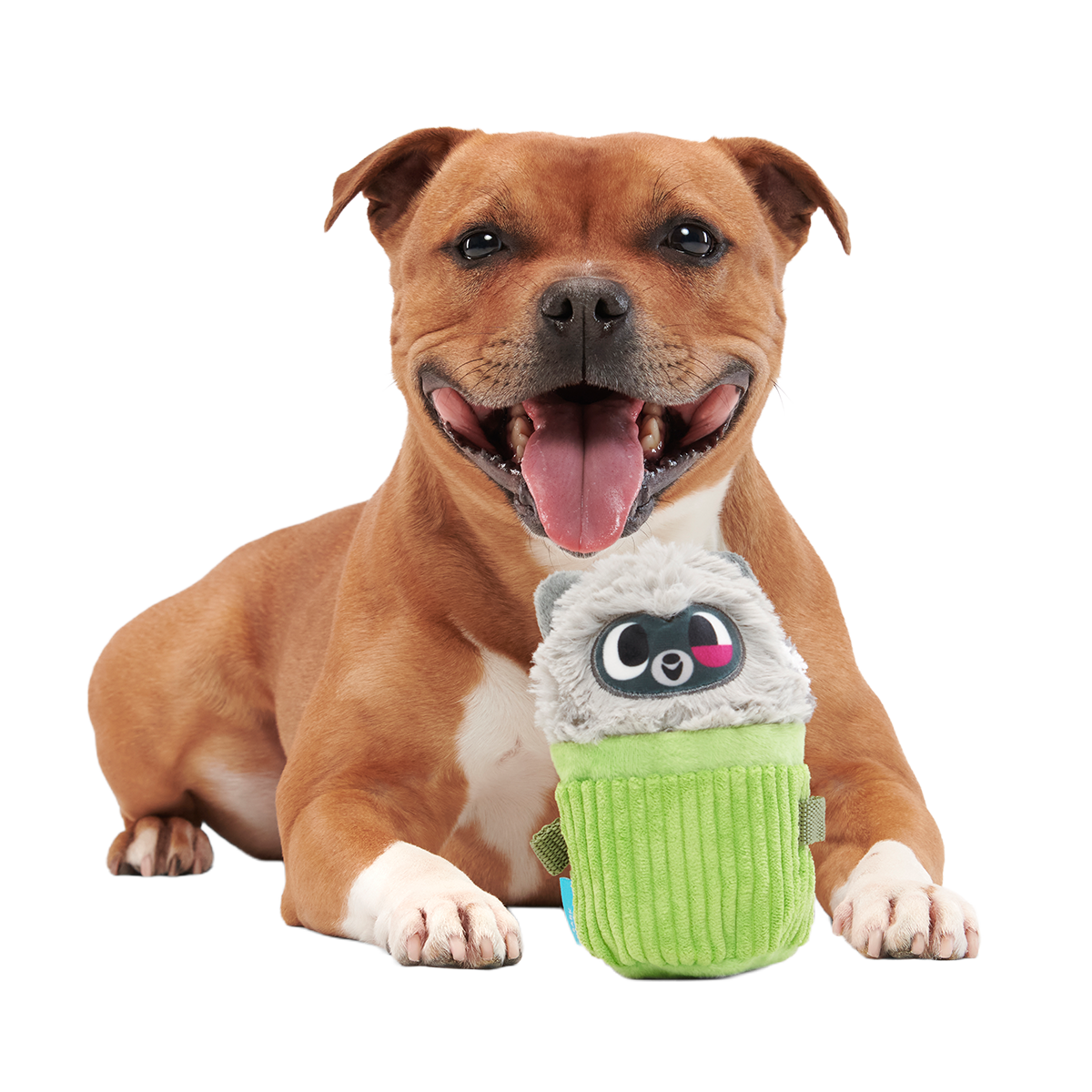 Rickie Racoon the Trash Tycoon Plush Enrichment + Multi-Part Dog Toy - Image 3