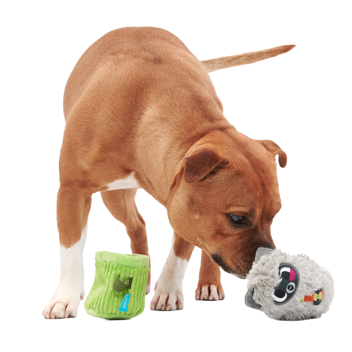 Rickie Racoon the Trash Tycoon Plush Enrichment + Multi-Part Dog Toy - Image 4