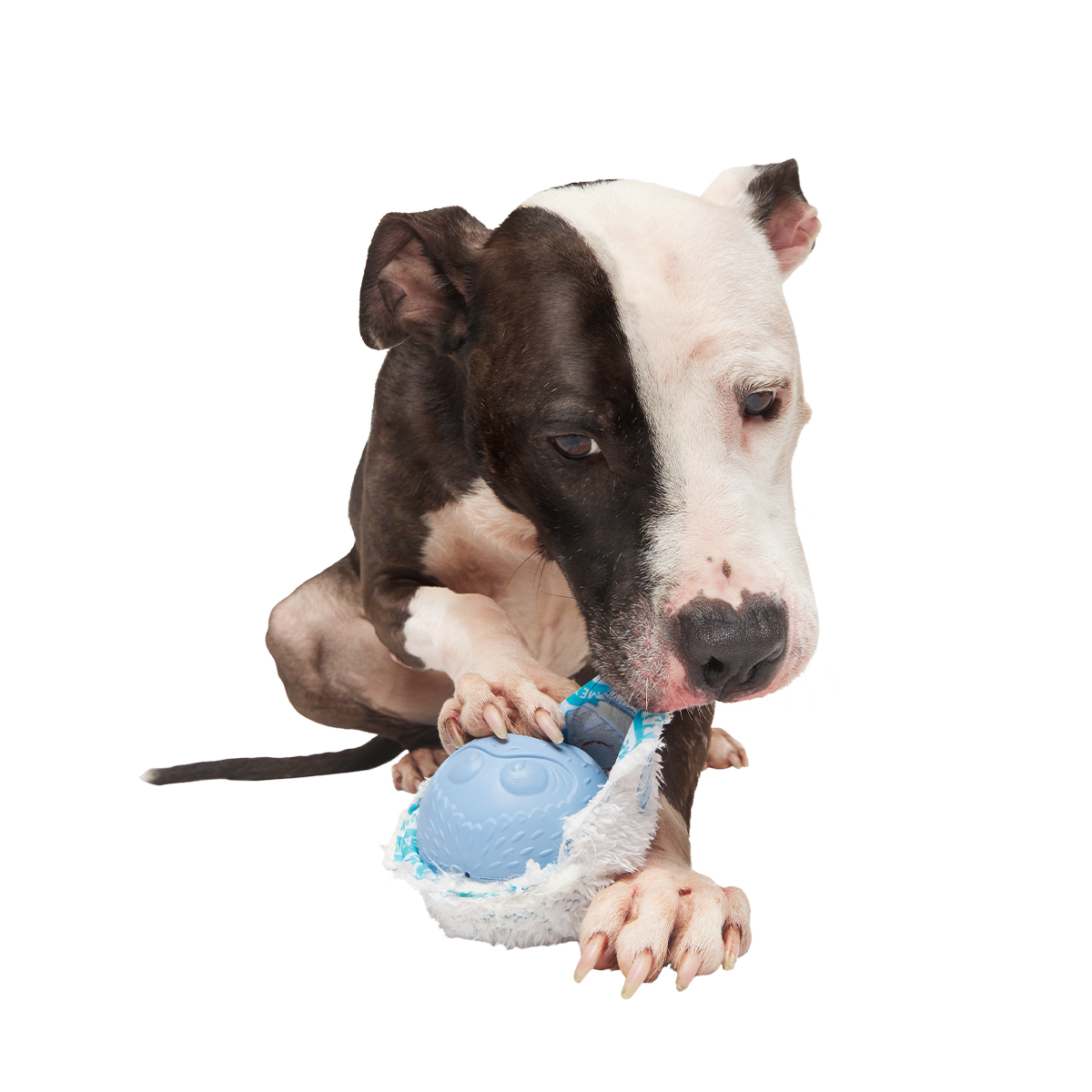 Ruff n' Tumble Bumble™ Super Chewer Durable 2-in-1 + Fetch Dog Toy - Image 4