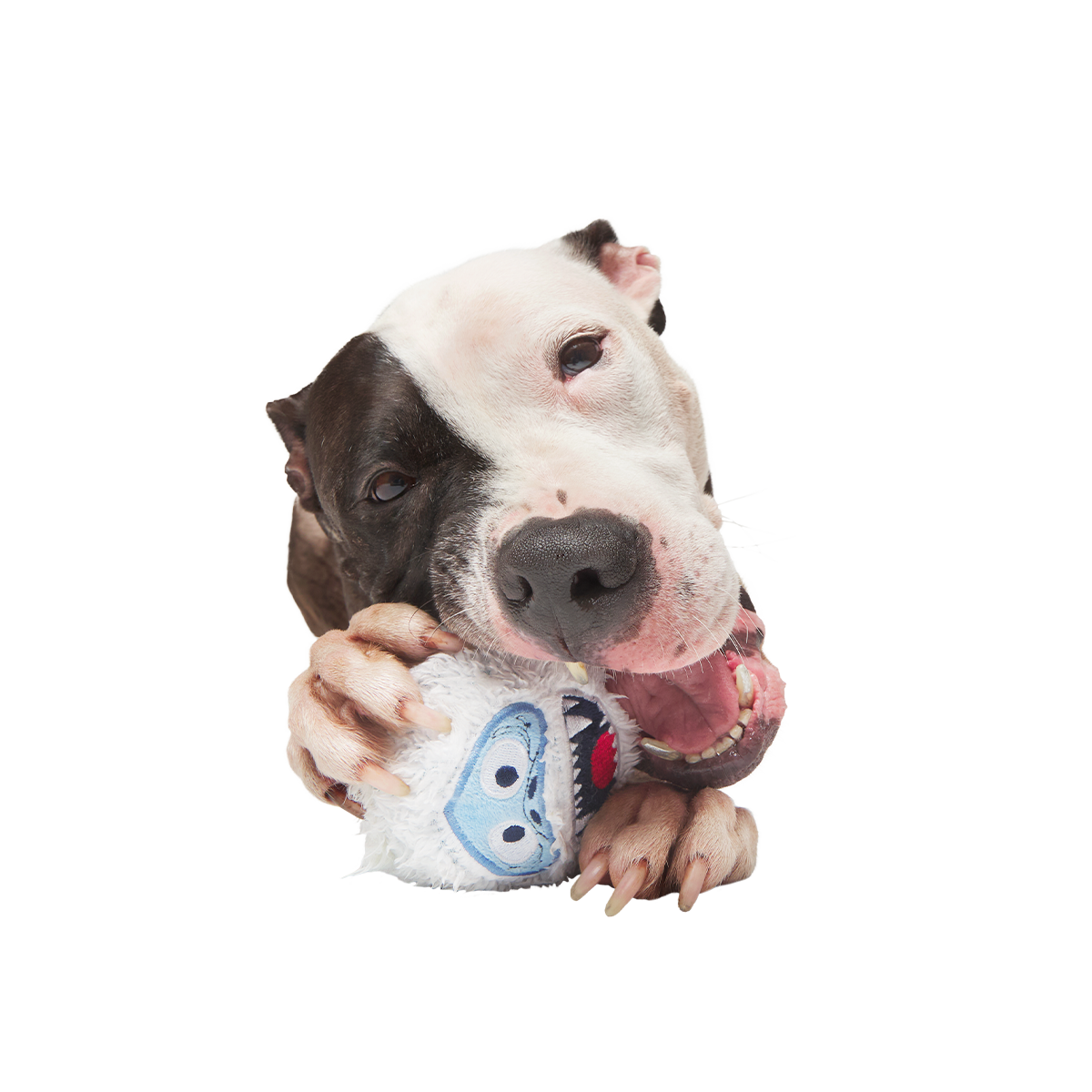 Ruff n' Tumble Bumble™ Super Chewer Durable 2-in-1 + Fetch Dog Toy - Image 3