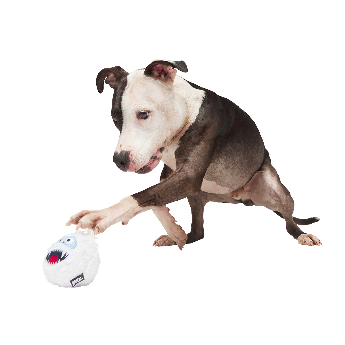 Ruff n' Tumble Bumble™ Super Chewer Durable 2-in-1 + Fetch Dog Toy - Image 2