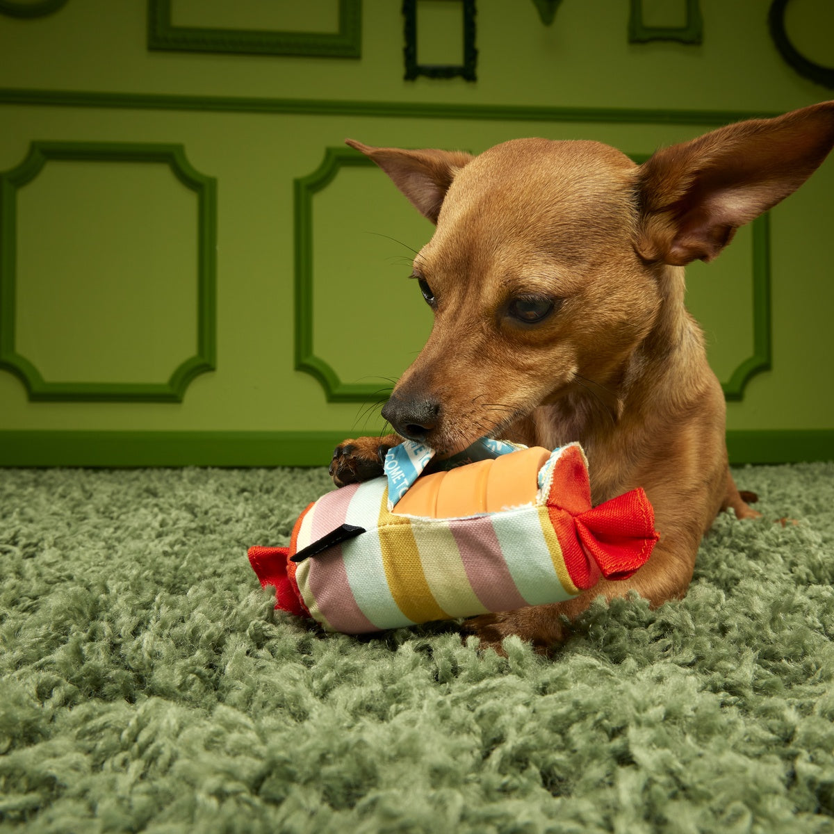 Throw-it-Alls Super Chewer Durable 2-in-1 + Enrichment Dog Toy - Image 2