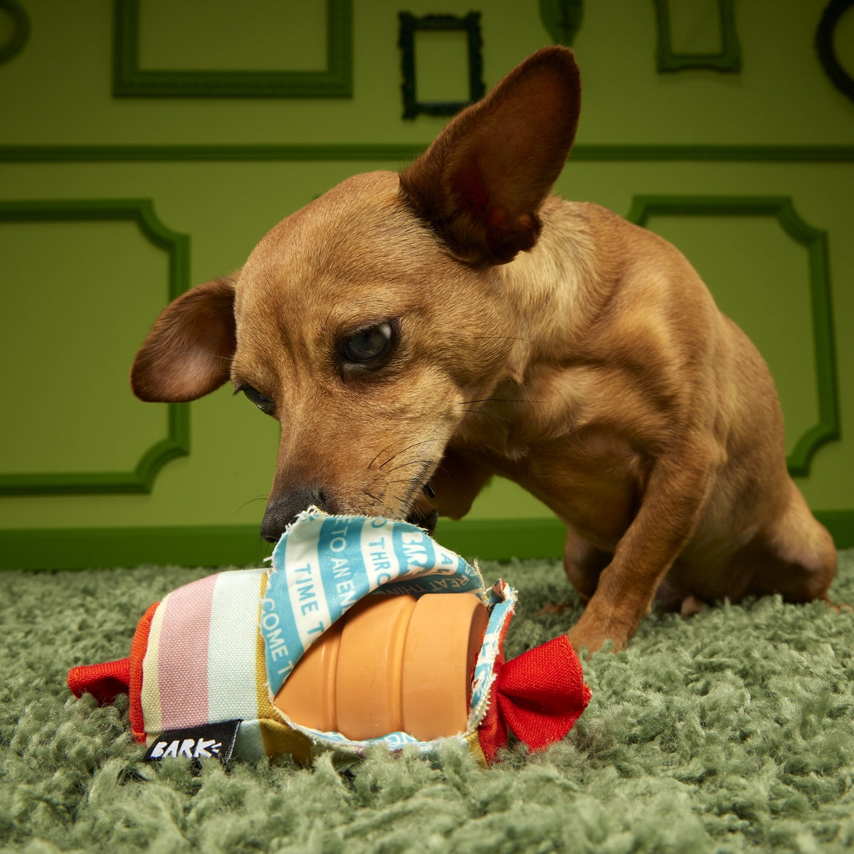 Throw-it-Alls Super Chewer Durable 2-in-1 + Enrichment Dog Toy - Image 3