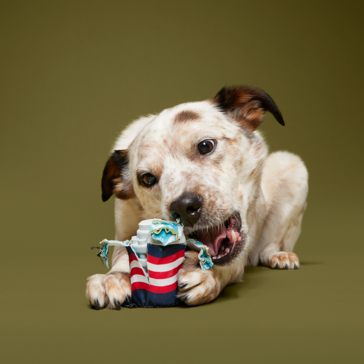 Nedry's Scheme Revealed Durable Super Chewer 2-in-1 Rip and Reveal Dog Toy - Image 2