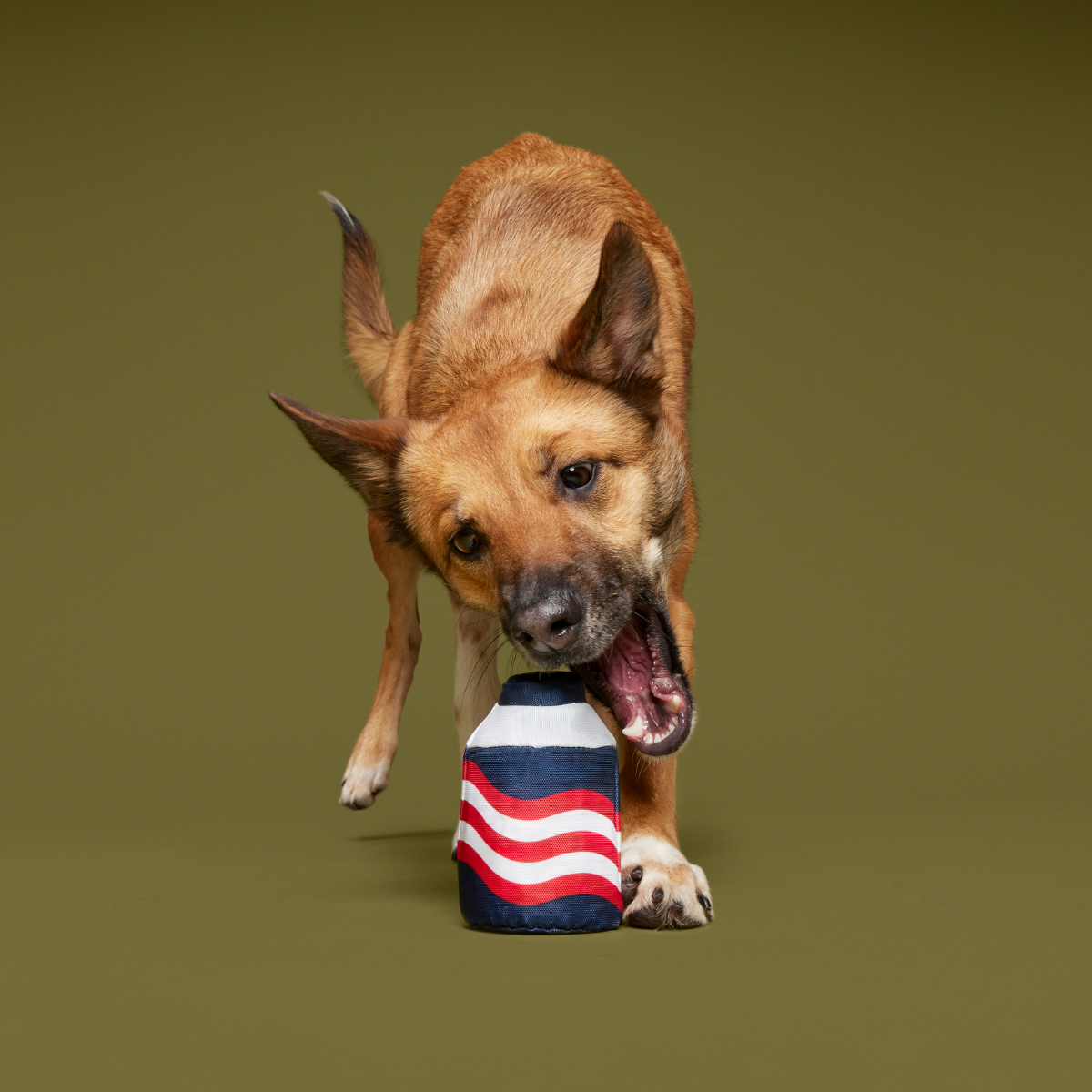 Nedry's Scheme Revealed Durable Super Chewer 2-in-1 Rip and Reveal Dog Toy - Image 3