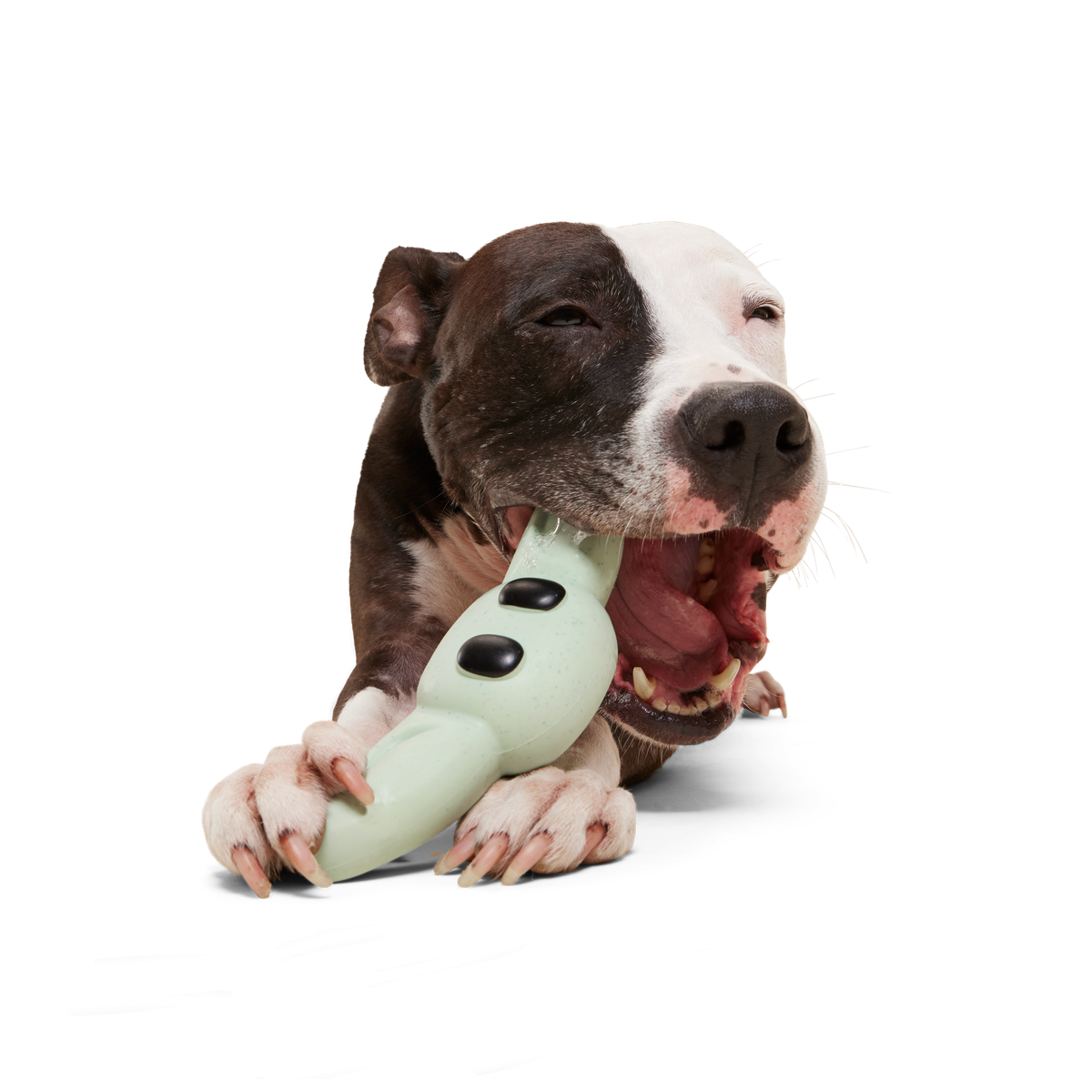 Chew and Chase Grogu™ Super Chewer Durable Gnaw Dog Toy - Image 2