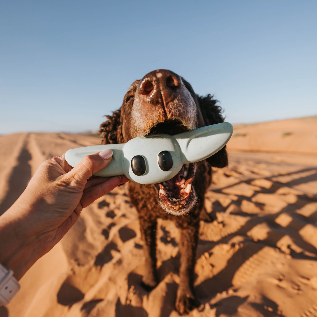 Chew and Chase Grogu™ Super Chewer Durable Gnaw Dog Toy - Image 6